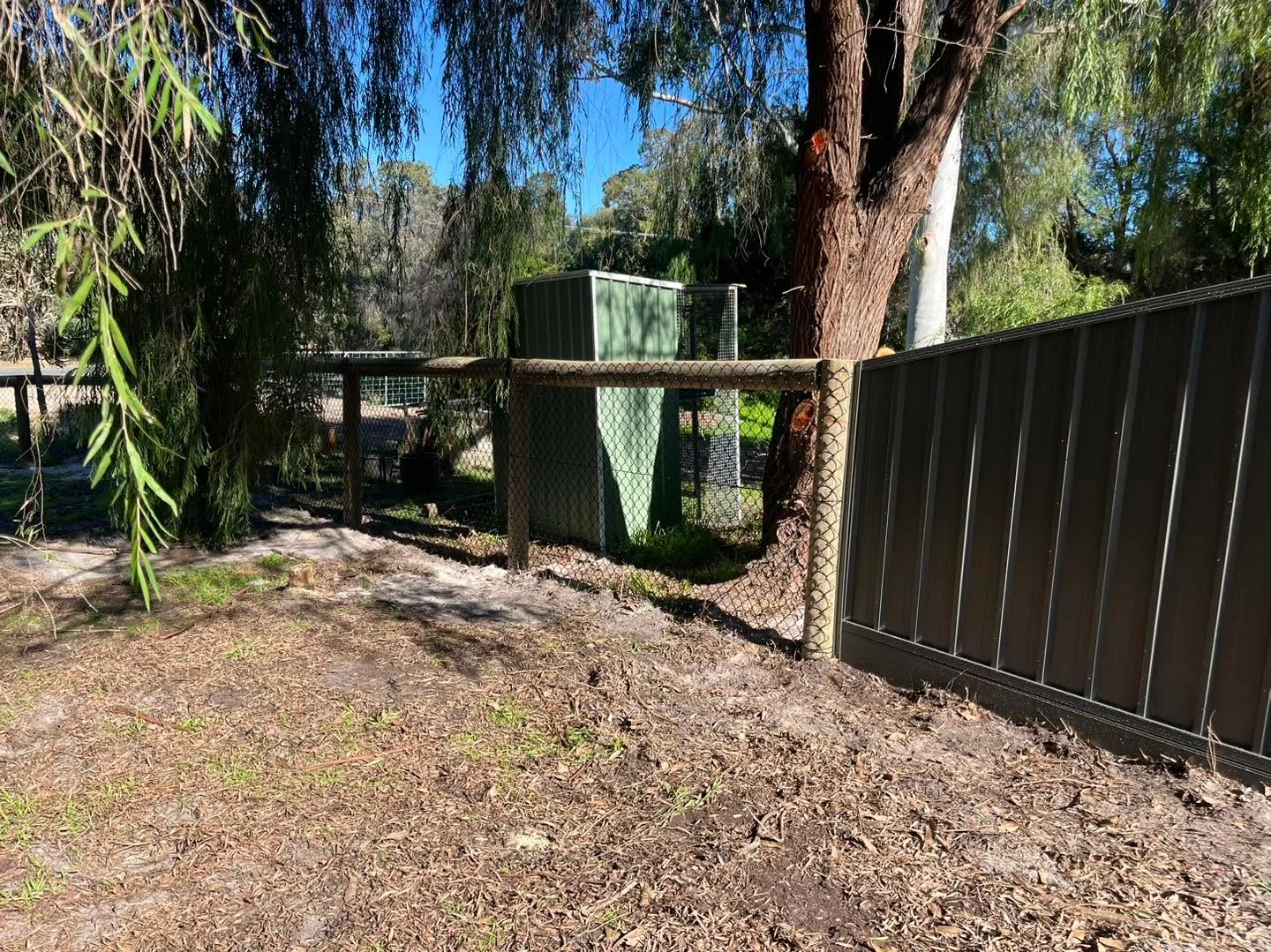 PVC coated chainlink fence in a Perth backyard
